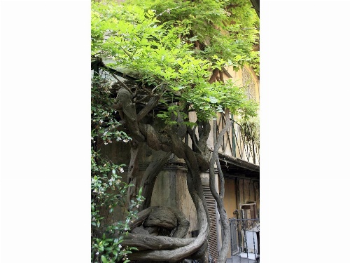 Apartment Margutta image 4